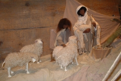 Hirten und Schafe
